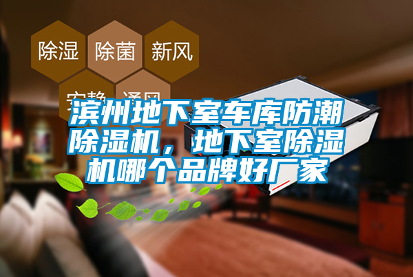 濱州地下室車庫(kù)防潮除濕機(jī),地下室除濕機(jī)哪個(gè)品牌好廠家