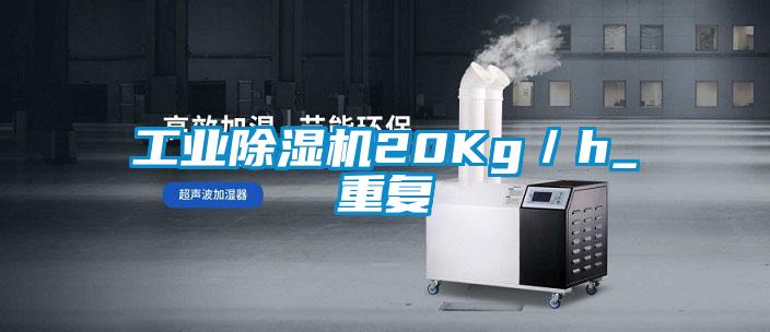 工業(yè)除濕機(jī)20Kg/h_重復(fù)