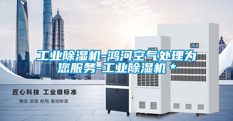 工業除濕機-鴻河空氣處理為您服務-工業除濕機*