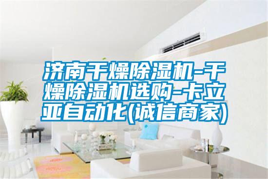 濟(jì)南干燥除濕機(jī)-干燥除濕機(jī)選購-卡立亞自動化(誠信商家)