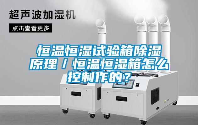 恒溫恒濕試驗(yàn)箱除濕原理/恒溫恒濕箱怎么控制作的?