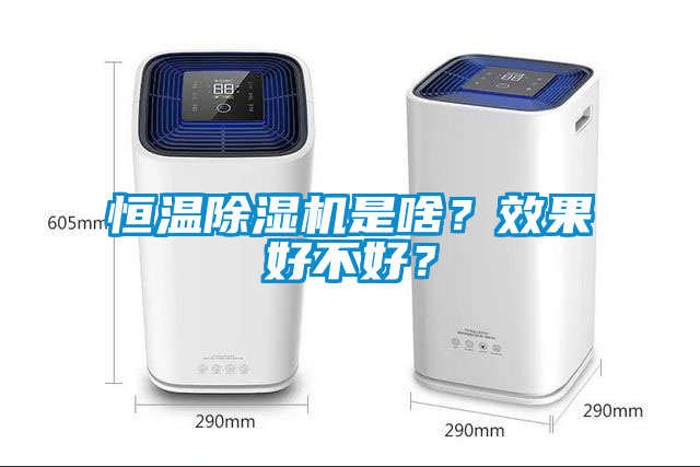 恒溫除濕機是啥？效果好不好？