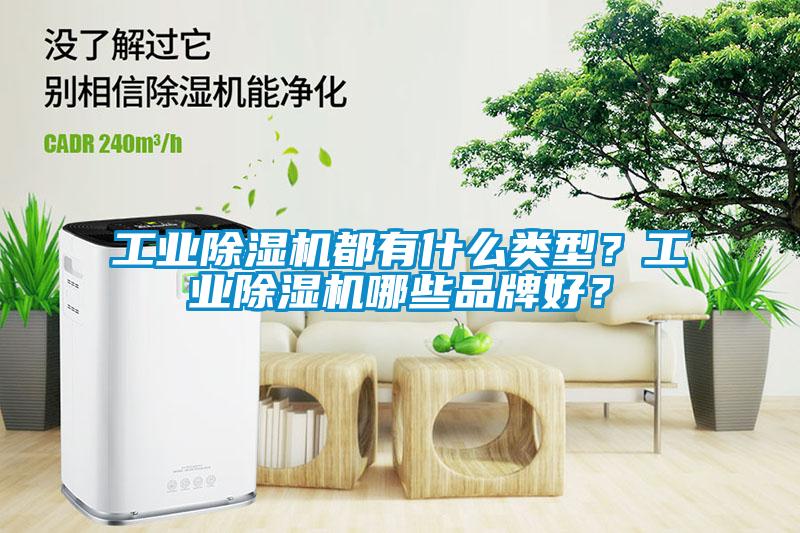 工業除濕機都有什么類型？工業除濕機哪些品牌好？