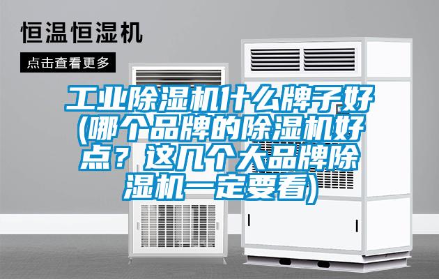 工業(yè)除濕機(jī)什么牌子好(哪個(gè)品牌的除濕機(jī)好點(diǎn)？這幾個(gè)大品牌除濕機(jī)一定要看)