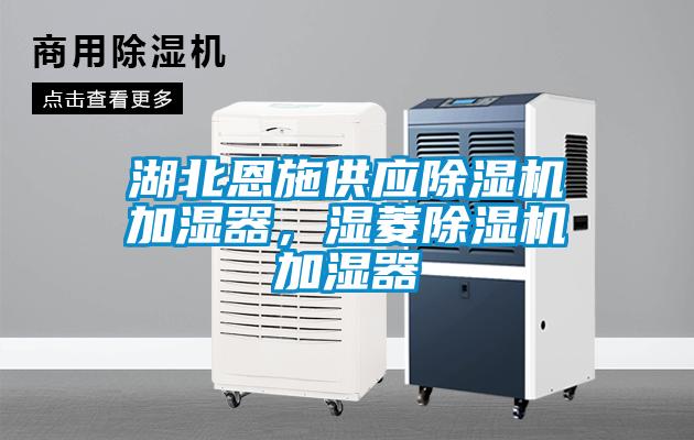 湖北恩施供應(yīng)除濕機(jī)加濕器，濕菱除濕機(jī)加濕器