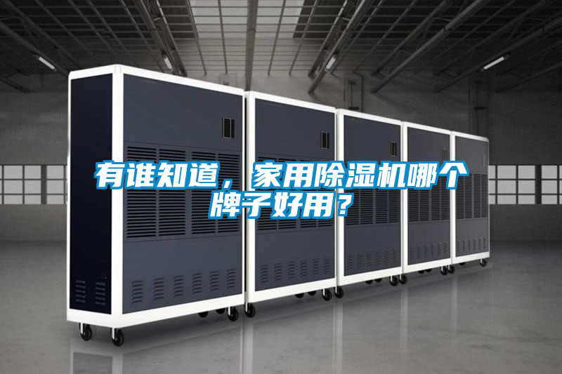 有誰(shuí)知道，家用除濕機(jī)哪個(gè)牌子好用？