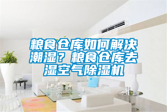 糧食倉庫如何解決潮濕？糧食倉庫去濕空氣除濕機