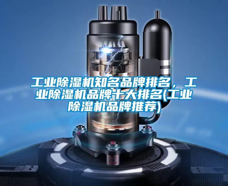 工業除濕機知名品牌排名，工業除濕機品牌十大排名(工業除濕機品牌推薦)