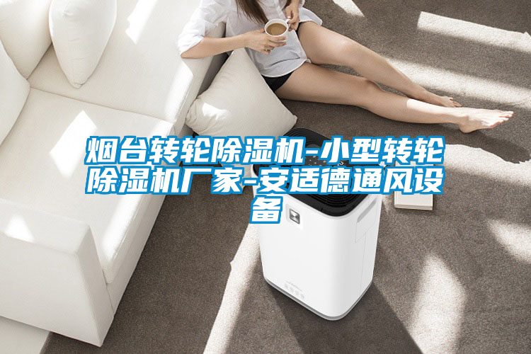 煙臺轉(zhuǎn)輪除濕機-小型轉(zhuǎn)輪除濕機廠家-安適德通風設備