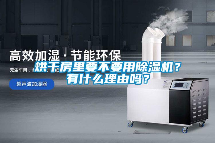 烘干房里要不要用除濕機(jī)？有什么理由嗎？