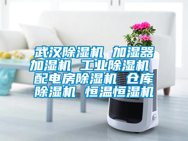 武漢除濕機 加濕器加濕機 工業除濕機 配電房除濕機 倉庫除濕機 恒溫恒濕機