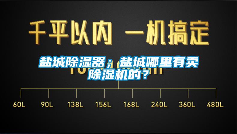 鹽城除濕器；鹽城哪里有賣除濕機的？