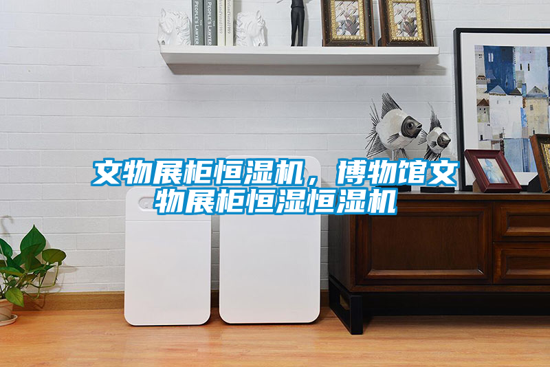 文物展柜恒濕機，博物館文物展柜恒濕恒濕機