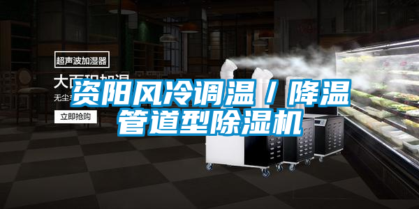 資陽風冷調(diào)溫／降溫管道型除濕機