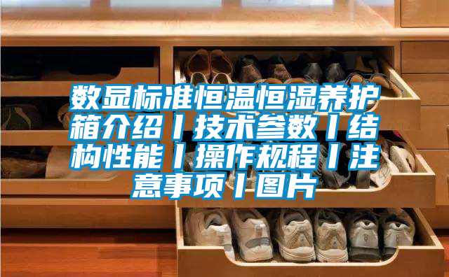 數(shù)顯標(biāo)準(zhǔn)恒溫恒濕養(yǎng)護箱介紹丨技術(shù)參數(shù)丨結(jié)構(gòu)性能丨操作規(guī)程丨注意事項丨圖片
