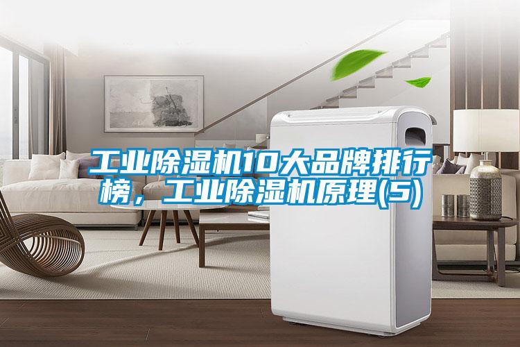 工業(yè)除濕機(jī)10大品牌排行榜，工業(yè)除濕機(jī)原理(5)