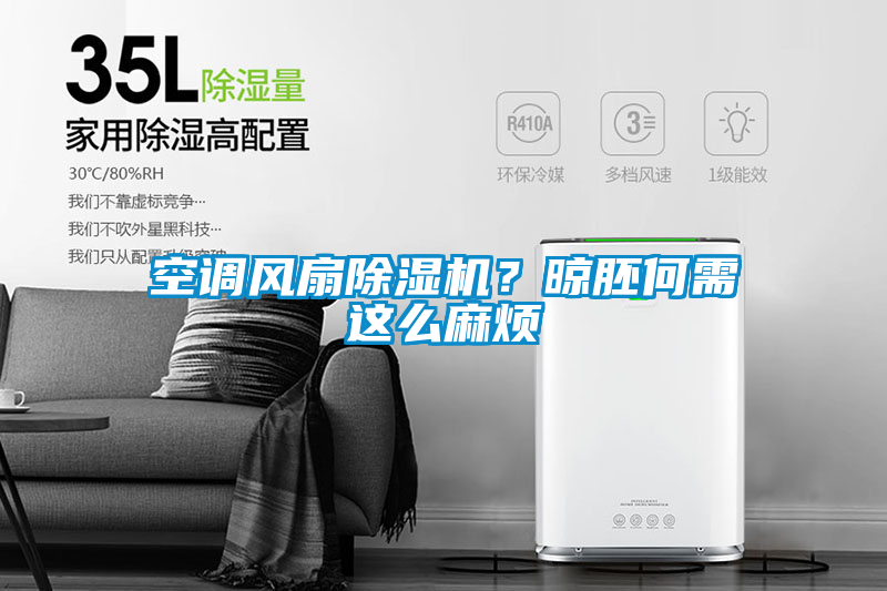 空調(diào)風(fēng)扇除濕機(jī)？晾胚何需這么麻煩