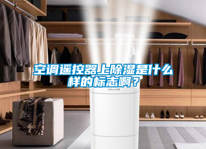 空調(diào)遙控器上除濕是什么樣的標志啊？