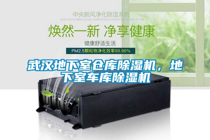 武漢地下室倉庫除濕機，地下室車庫除濕機