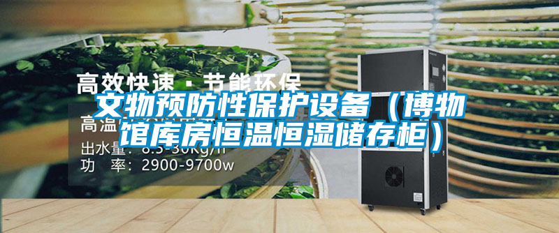 文物預(yù)防性保護(hù)設(shè)備（博物館庫房恒溫恒濕儲(chǔ)存柜）