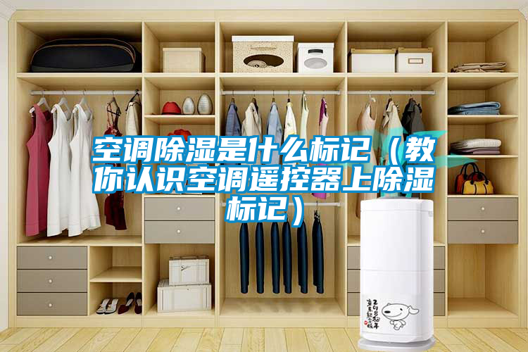 空調(diào)除濕是什么標(biāo)記（教你認(rèn)識空調(diào)遙控器上除濕標(biāo)記）