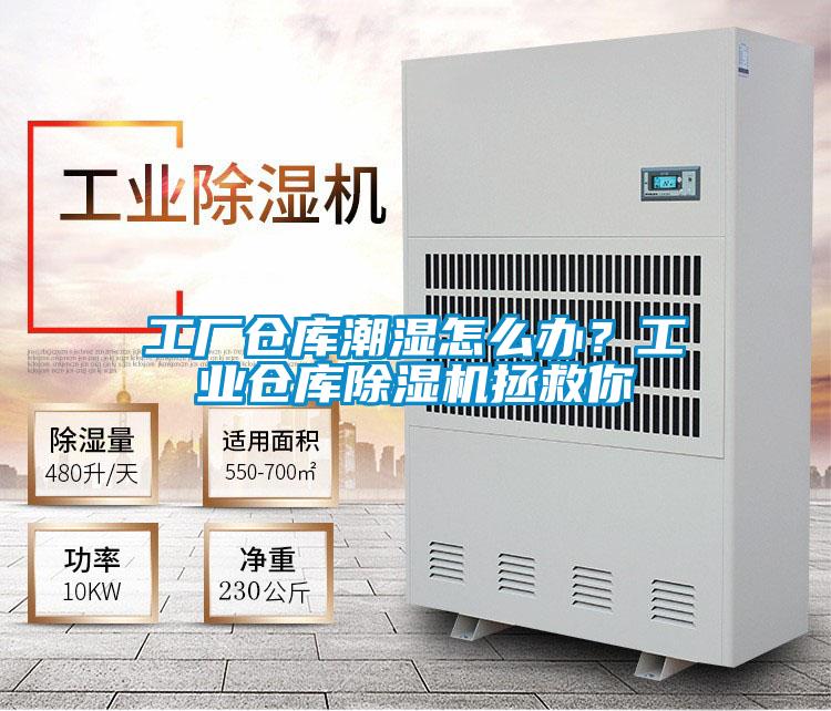 工廠倉(cāng)庫潮濕怎么辦？工業(yè)倉(cāng)庫除濕機(jī)拯救你