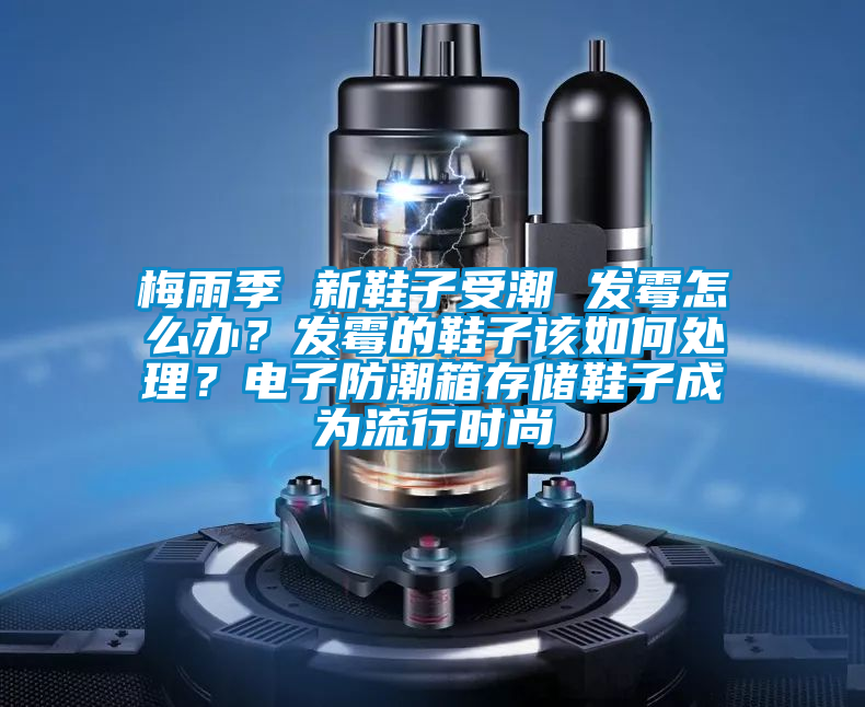 梅雨季 新鞋子受潮 發(fā)霉怎么辦？發(fā)霉的鞋子該如何處理？電子防潮箱存儲(chǔ)鞋子成為流行時(shí)尚