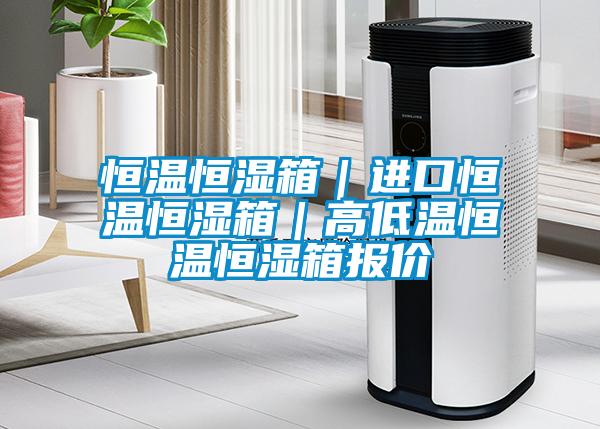 恒溫恒濕箱｜進(jìn)口恒溫恒濕箱｜高低溫恒溫恒濕箱報(bào)價