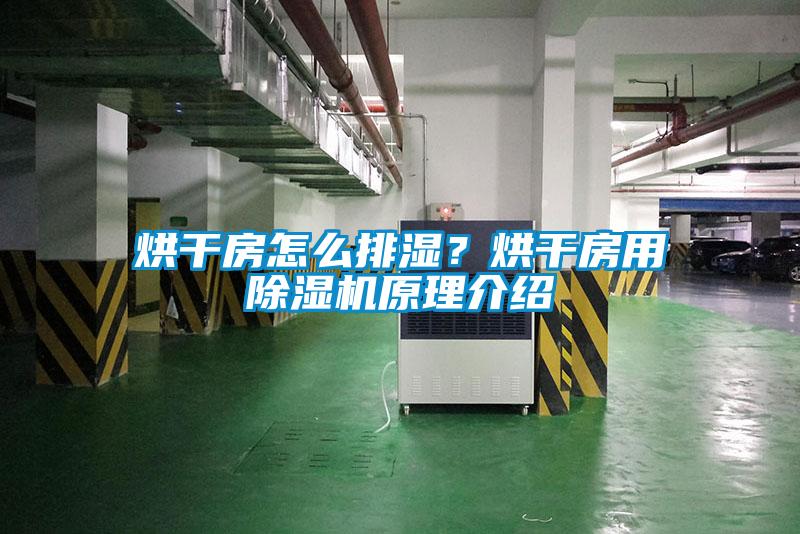 烘干房怎么排濕？烘干房用除濕機原理介紹