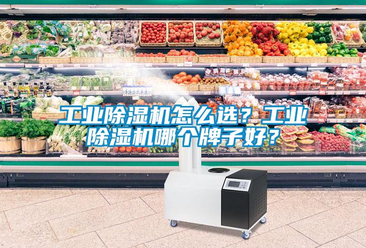 工業(yè)除濕機怎么選？工業(yè)除濕機哪個牌子好？