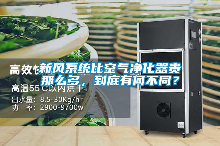 新風系統比空氣凈化器貴那么多，到底有何不同？