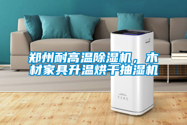 鄭州耐高溫除濕機，木材家具升溫烘干抽濕機