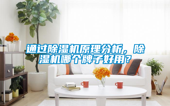 通過除濕機(jī)原理分析，除濕機(jī)哪個(gè)牌子好用？