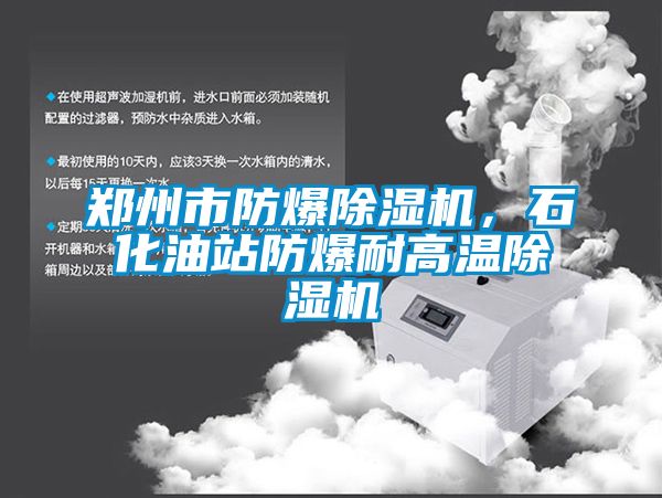 鄭州市防爆除濕機(jī)，石化油站防爆耐高溫除濕機(jī)