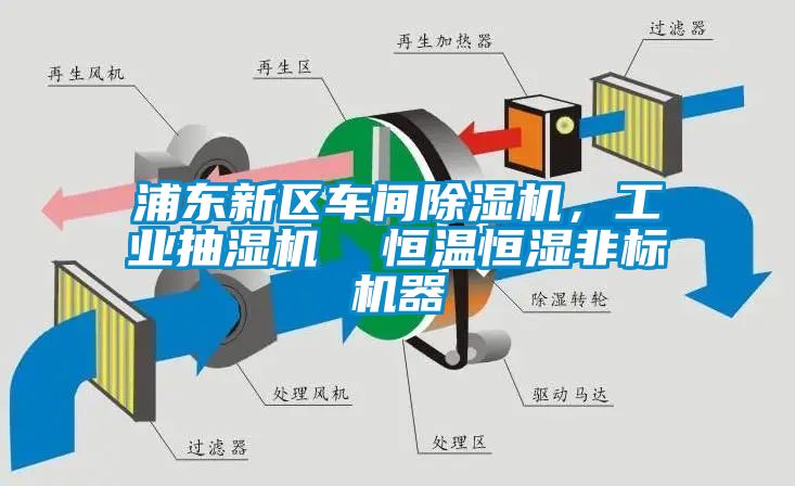 浦東新區(qū)車間除濕機，工業(yè)抽濕機  恒溫恒濕非標機器