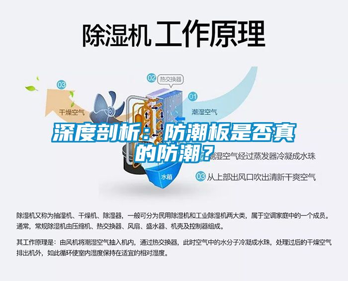 深度剖析：防潮板是否真的防潮？