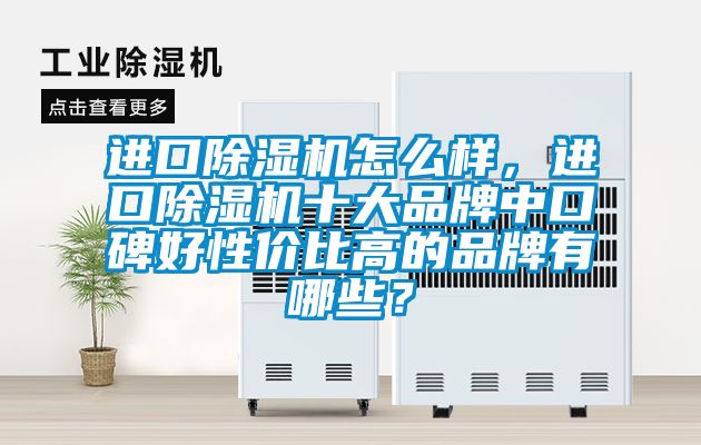 進口除濕機怎么樣，進口除濕機十大品牌中口碑好性價比高的品牌有哪些？