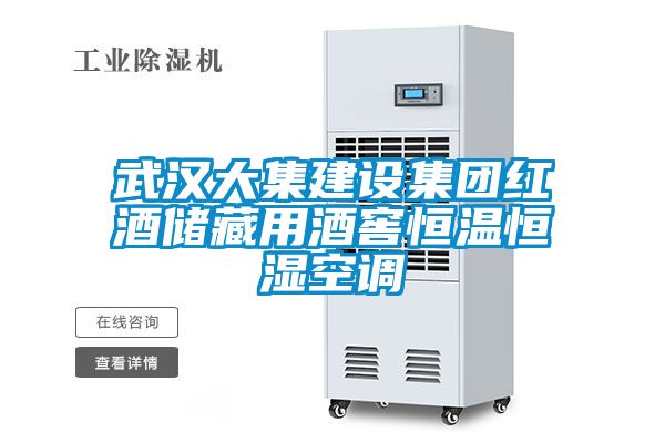 武漢大集建設集團紅酒儲藏用酒窖恒溫恒濕空調(diào)
