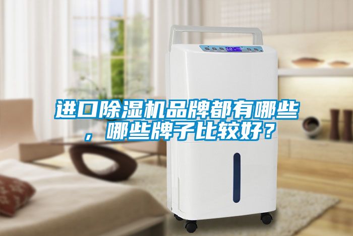進口除濕機品牌都有哪些，哪些牌子比較好？