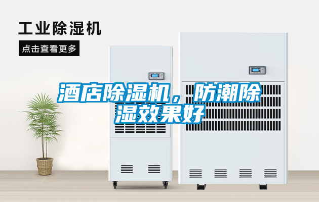 酒店除濕機(jī)，防潮除濕效果好