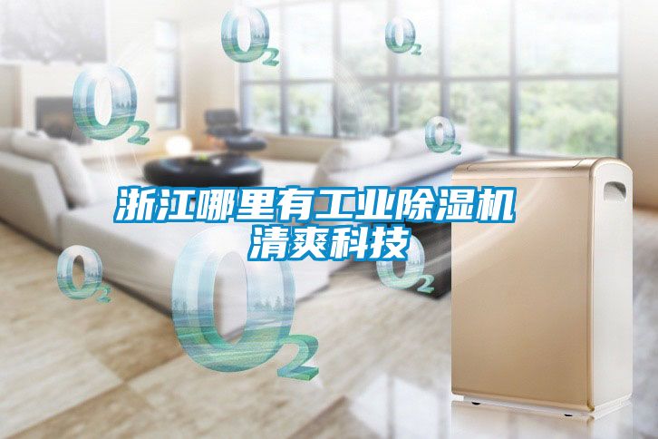 浙江哪里有工業(yè)除濕機(jī) 清爽科技