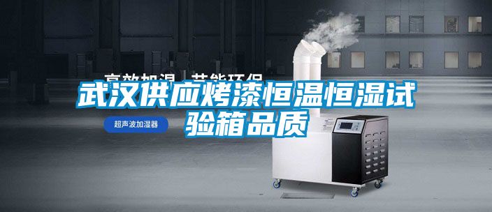 武漢供應烤漆恒溫恒濕試驗箱品質(zhì)