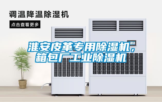 淮安皮革專用除濕機，箱包廠工業除濕機