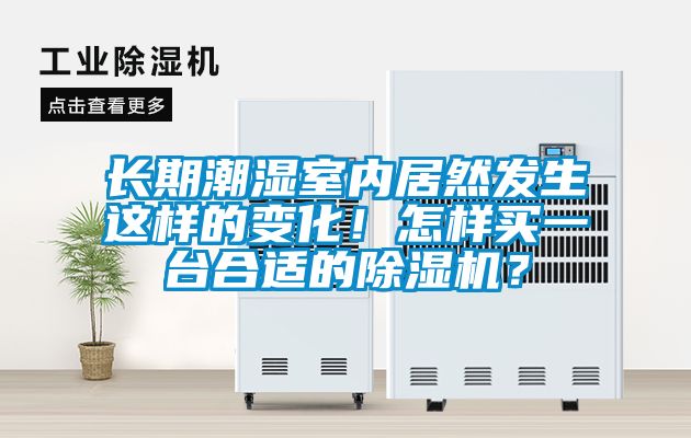 長(zhǎng)期潮濕室內(nèi)居然發(fā)生這樣的變化！怎樣買一臺(tái)合適的除濕機(jī)？