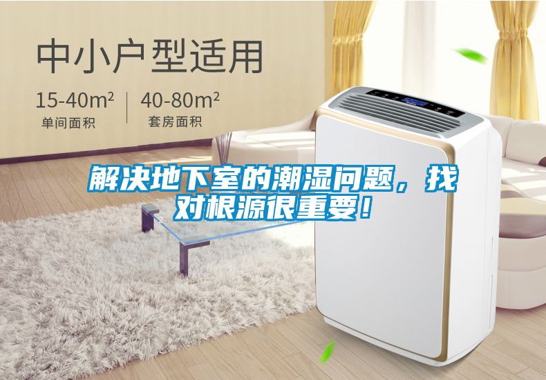 解決地下室的潮濕問題，找對根源很重要！