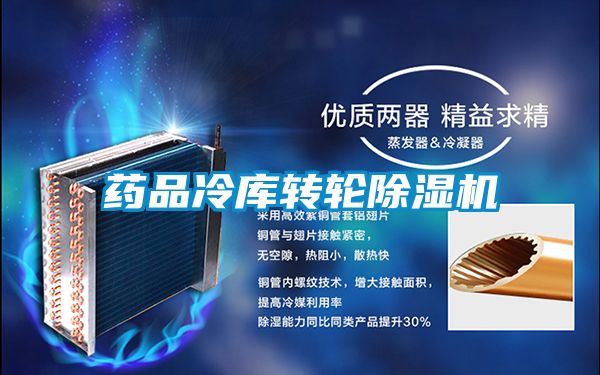 藥品冷庫轉(zhuǎn)輪除濕機(jī)