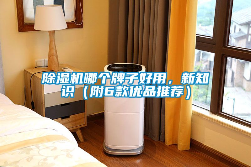 除濕機(jī)哪個牌子好用，新知識（附6款優(yōu)品推薦）