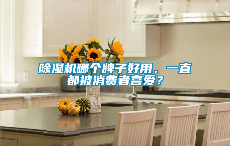 除濕機(jī)哪個牌子好用，一直都被消費(fèi)者喜愛？