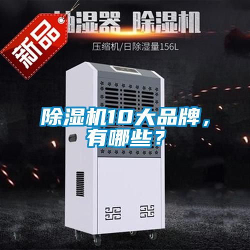 除濕機10大品牌，有哪些？