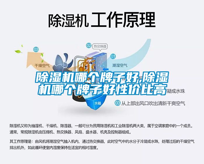 除濕機(jī)哪個牌子好,除濕機(jī)哪個牌子好性價比高